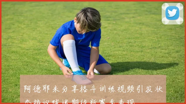 阿德耶米分享格斗训练视频引发状态热议球迷期待新赛季表现